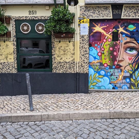Rosa da rua