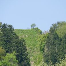 Tochio Castle
