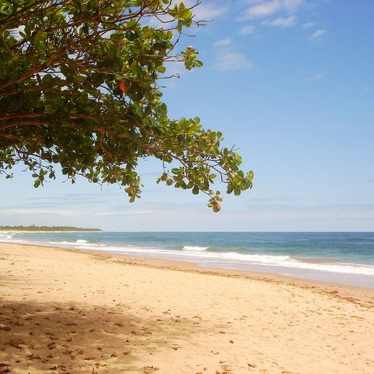 Algodões Beach