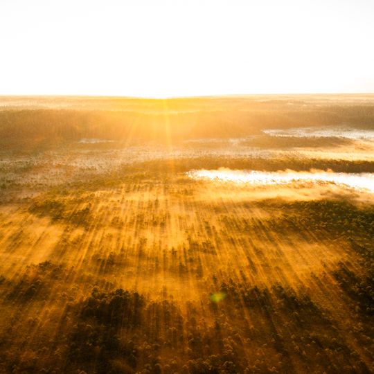 Meenikunno Nature Reserve