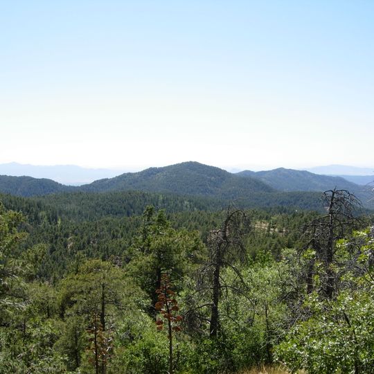 Bradshaw Mountains