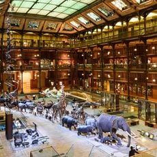 Grande galerie de l'Évolution