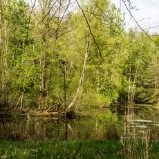 Wolbecker Tiergarten