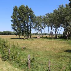 Prairies inondables du val de Saône