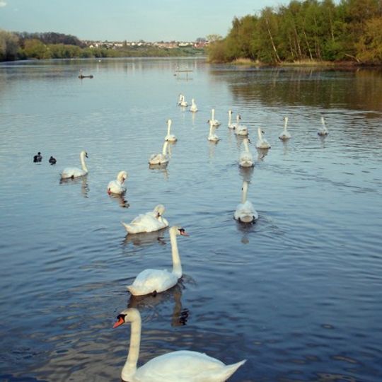 Fairburn Ings RSPB reserve