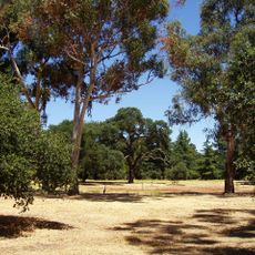 Arboretum de l'université Stanford