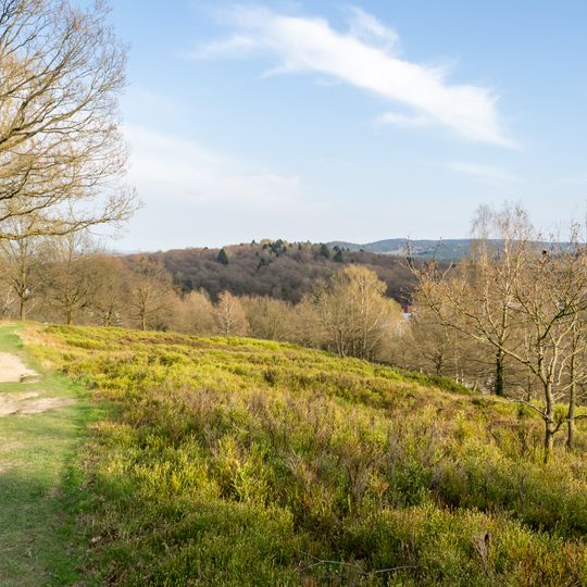 LSG-Bergheide auf der Vogeltaufe