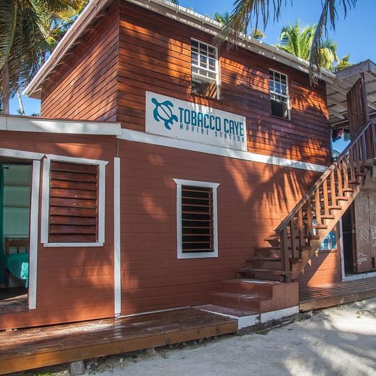 Tobacco Caye Marine Station