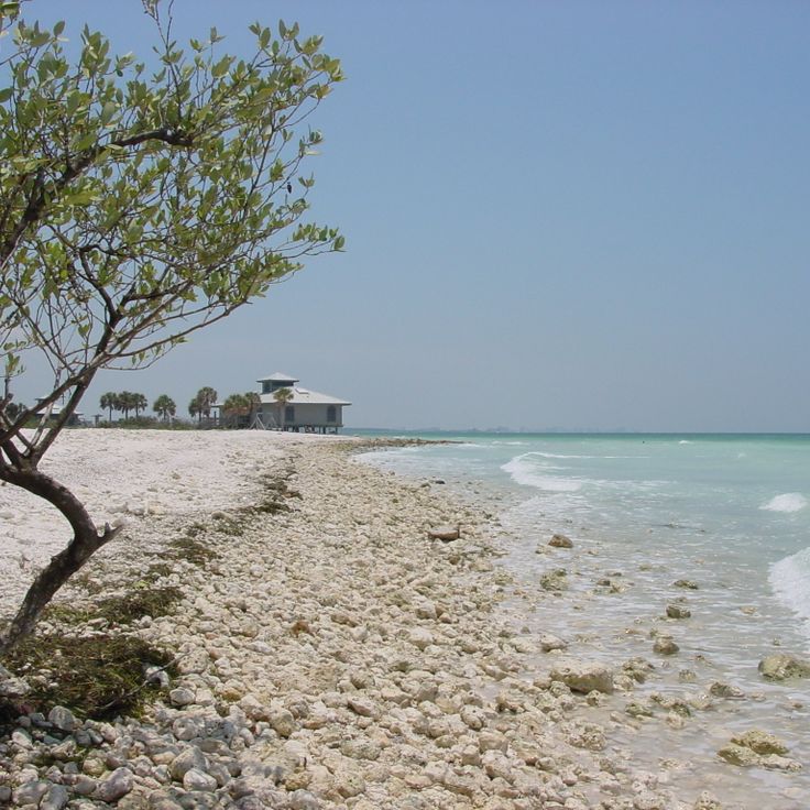 Honeymoon Island State Park