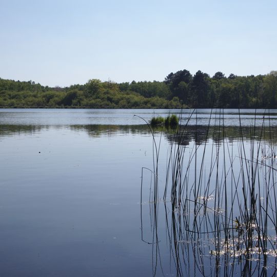 Étang Et Boisements De Joreau