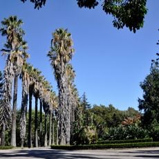 Jardim Botânico Tropical