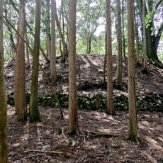 Goryu Castle