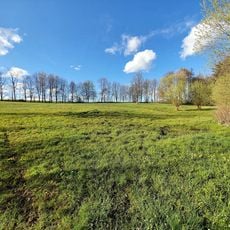 Staunasse Wiese am Kux