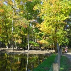 Wildpark Alte Fasanerie