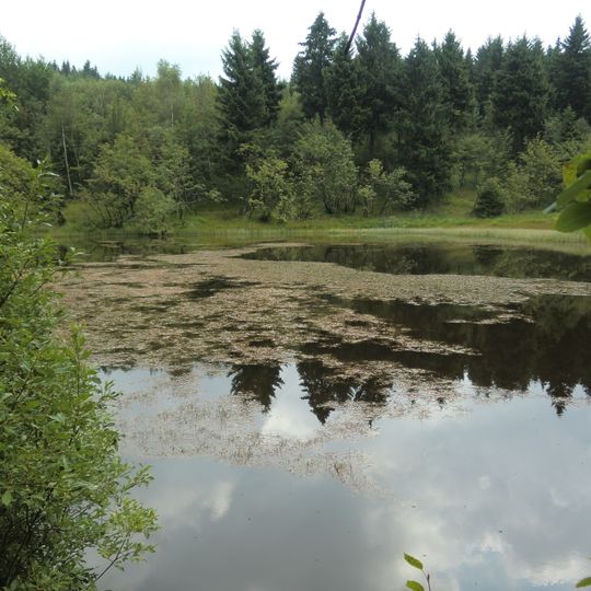 Walkteiche Rehefelder Straße
