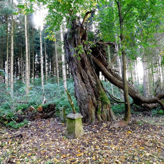 Kříž v dolní části zaniklé osady Libčice