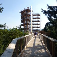 Treetop path Saarschleife