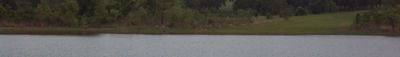 Panoramic View 1