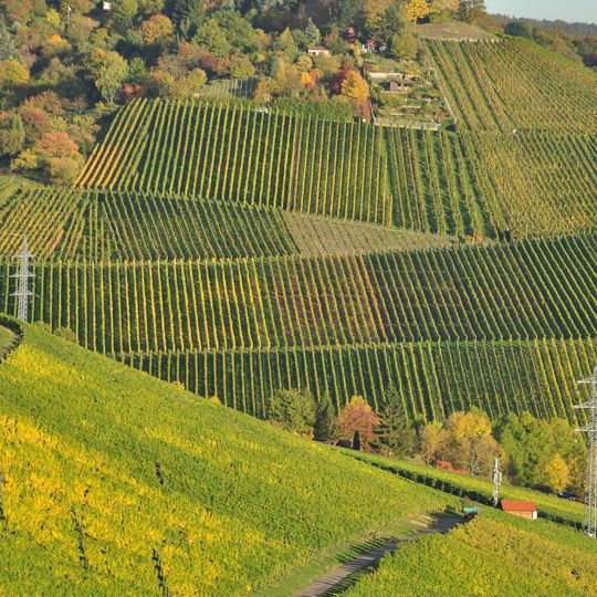 Wein-und Obstbaulandschaft Württemberg und Götzenberg