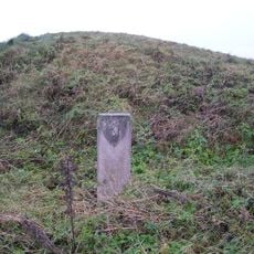 Berzgainiai hillfort