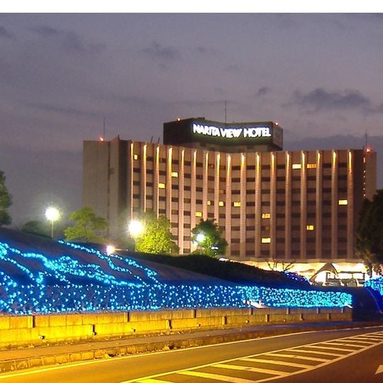 Art Hotel Narita