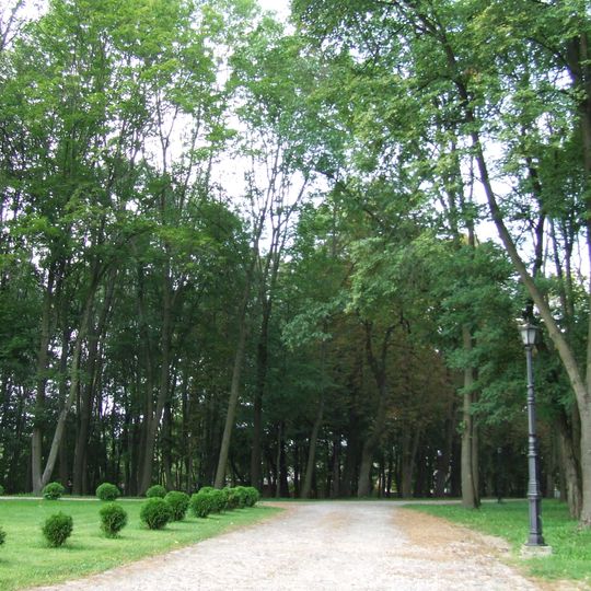 Park in Miastków Kościelny