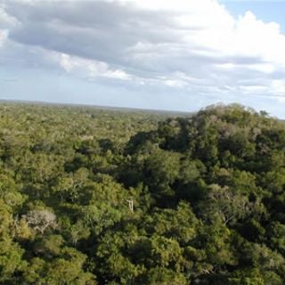 Reserva de la biosfera maya