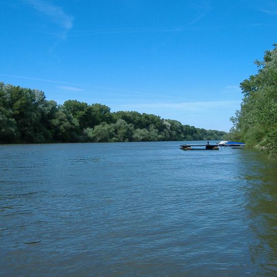Tisza