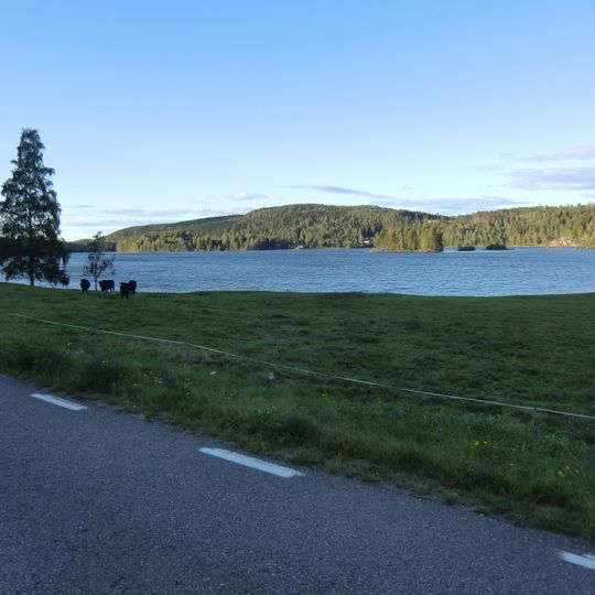 Björkelången