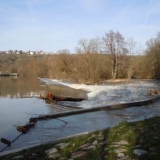 Neckarinseln bei Neckartenzlingen