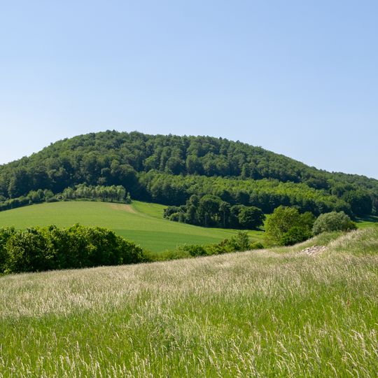 LSG-Loessgepraegte Mittelhangzone von Brunsberg,Mittelberg,Luedgen Berg,Langer Berg und