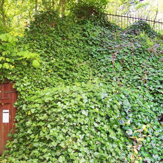 Ice house at Towneley Hall