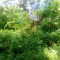 Grabhügel (Bodenwald Götzingen)