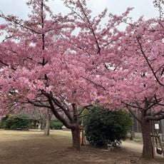 池袋本町電車の見える公園
