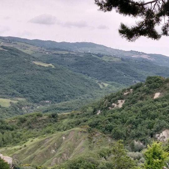 Boschi di Castellino e Morrone