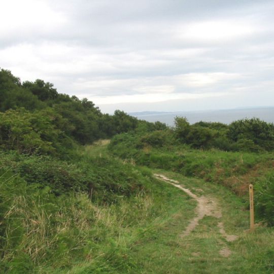 Ware Cliffs