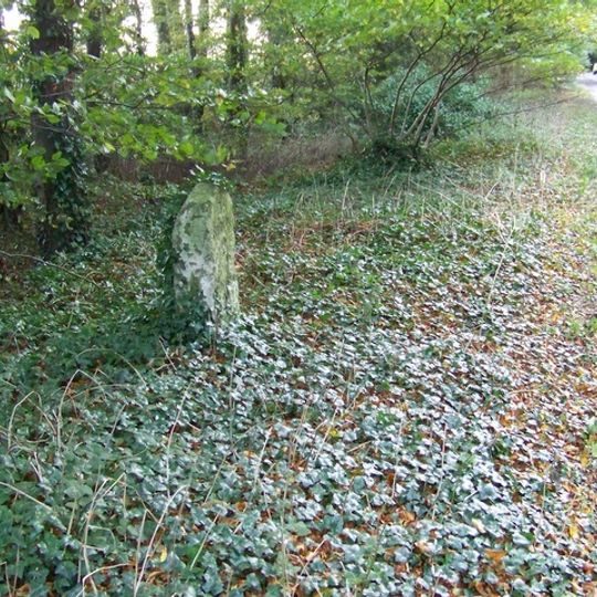 Milestone About 150 Metres East Of The Entrance To Bake Farm