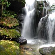 Dismals Canyon