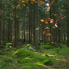 Parque nacional de Färnebofjärden