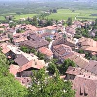 Magrè sulla Strada del Vino