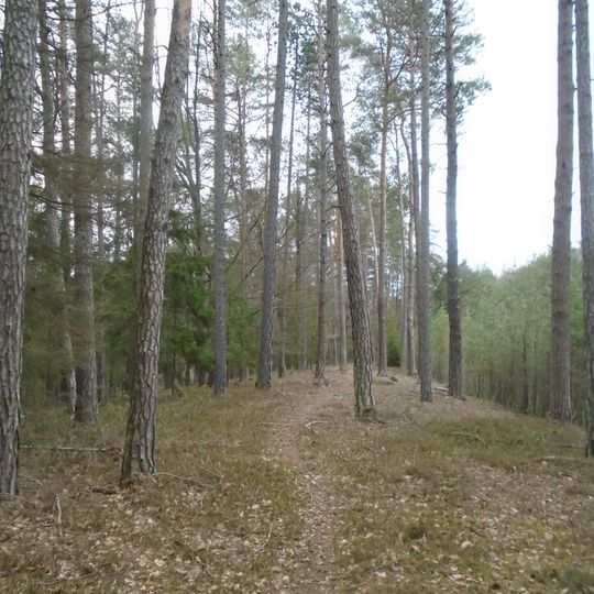 Sellnerovo hradiště