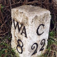 Helme Park, Fir Tree