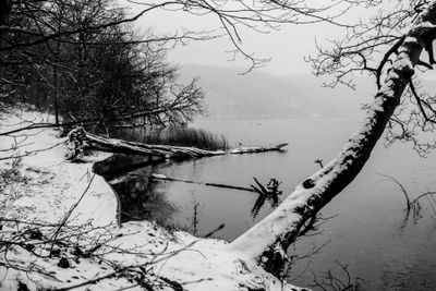 Winter 4