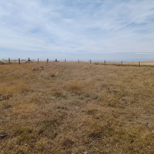 Pair of bowl barrows 600m ESE of Jerry's Pond, forming part of a round barrow cemetery south east of Bostal Hill
