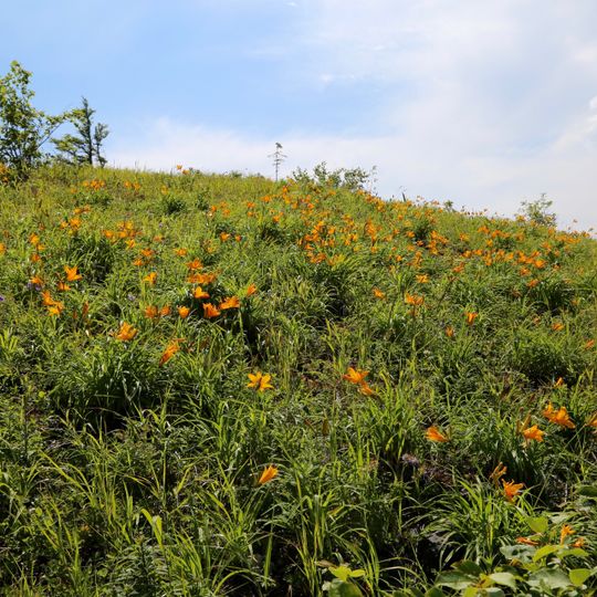 Rezerwat przyrody „Komsomolskij”