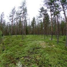 Kettukankaan jätinkirkko