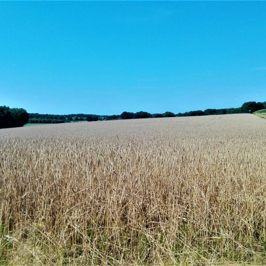 Hombach - Finkenbach - Klosterbach