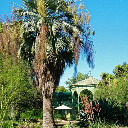 Ruth Bancroft Garden
