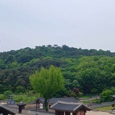 Paldal-san
