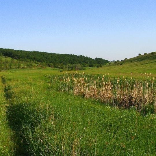 Vasylivka Protected Tract